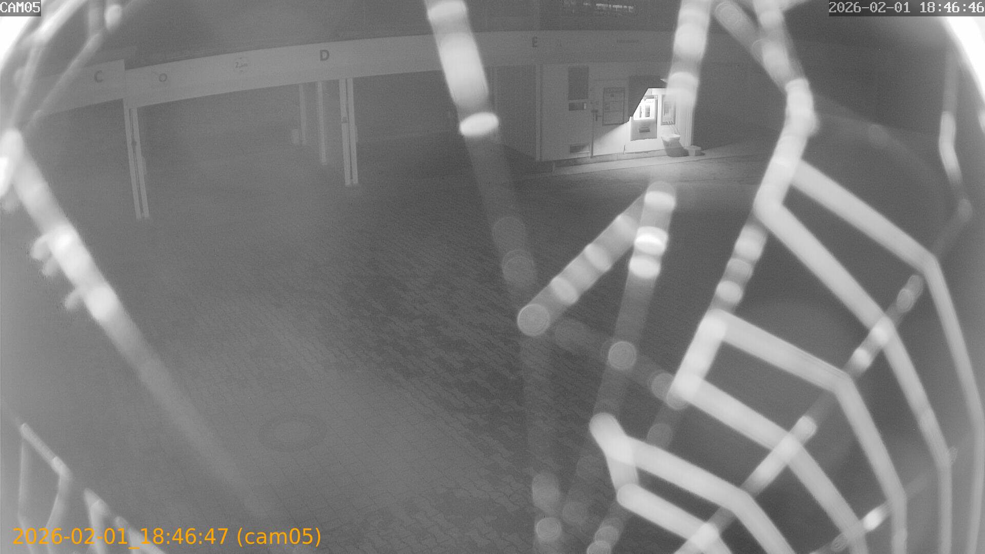 thumbnail_20260201184647