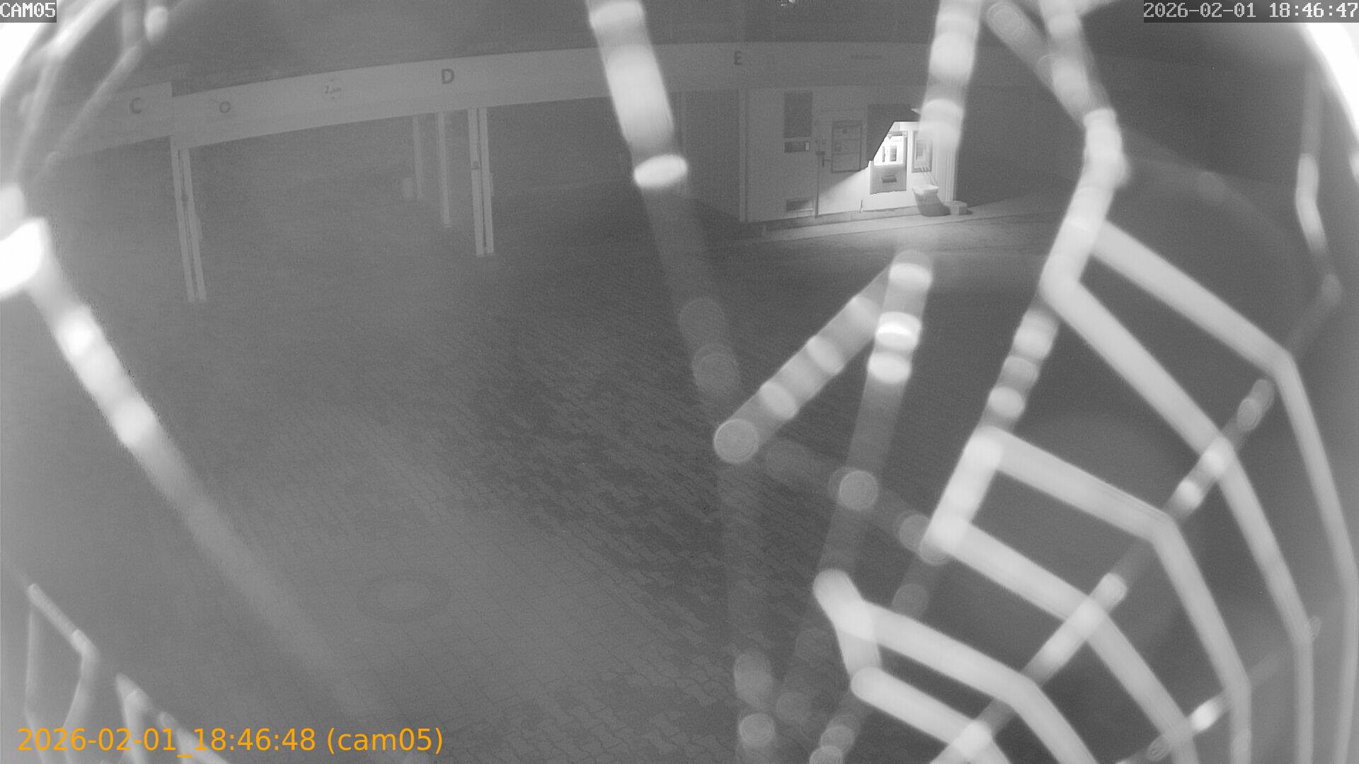 thumbnail_20260201184648