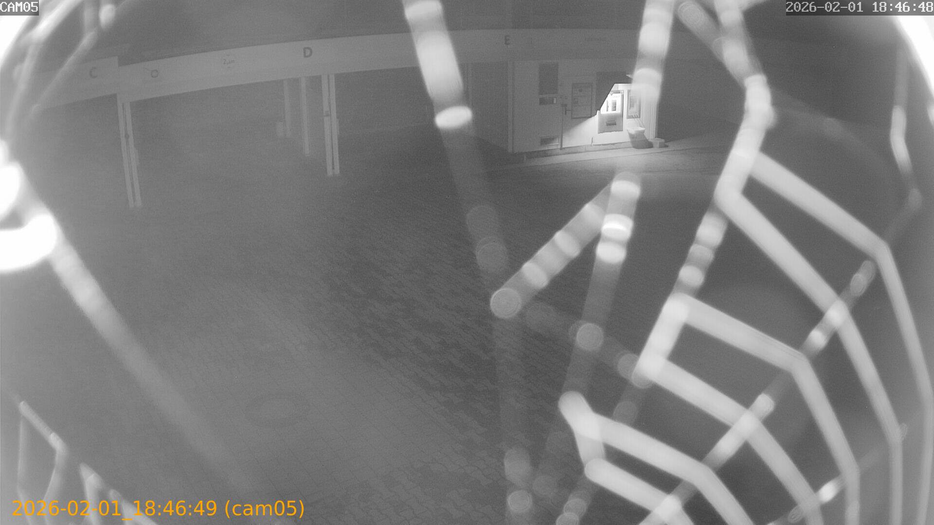 thumbnail_20260201184649