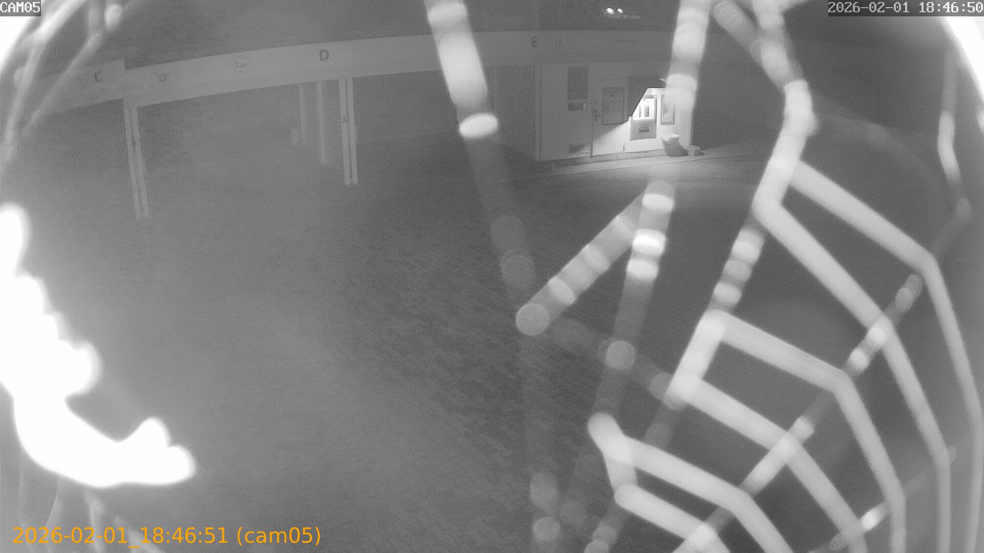 thumbnail_20260201184651