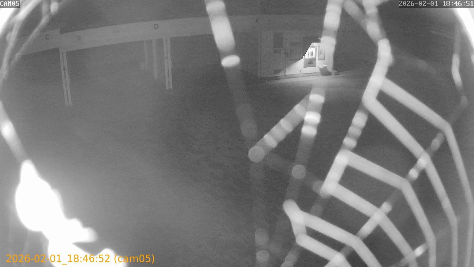 thumbnail_20260201184652