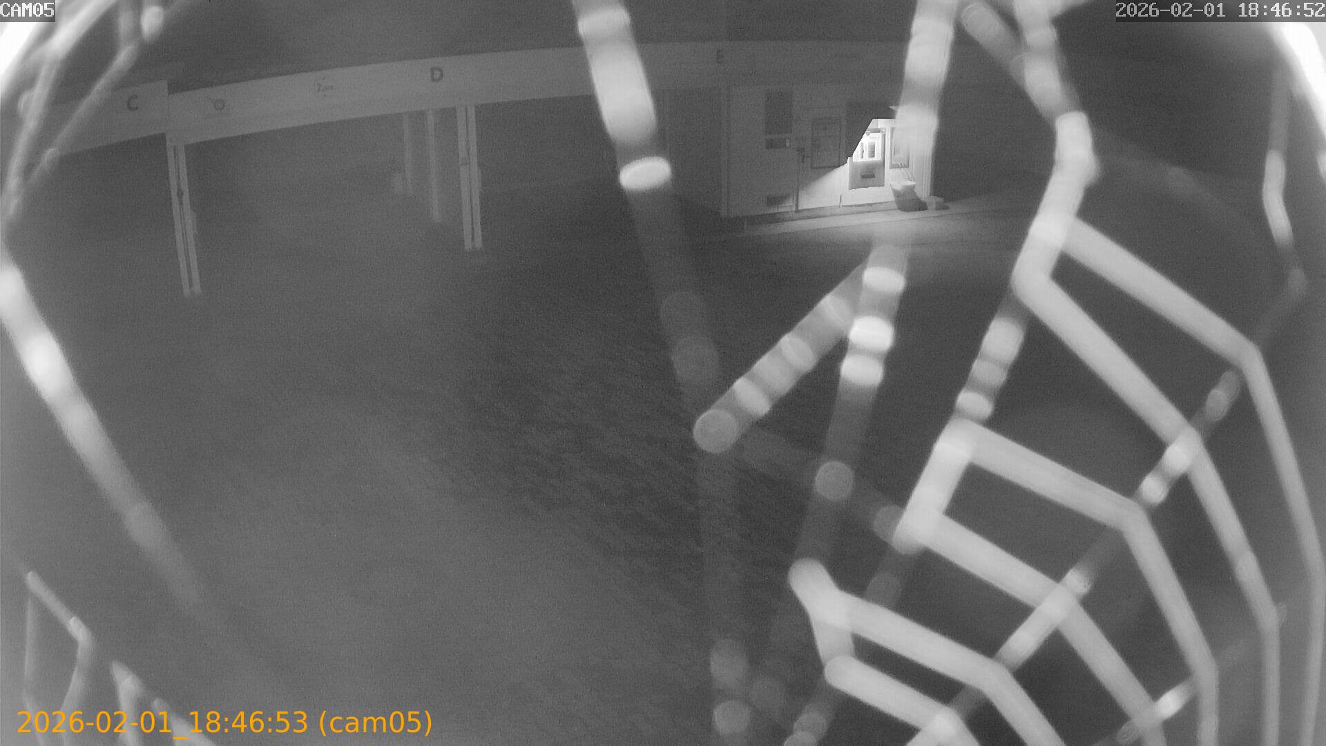 thumbnail_20260201184653