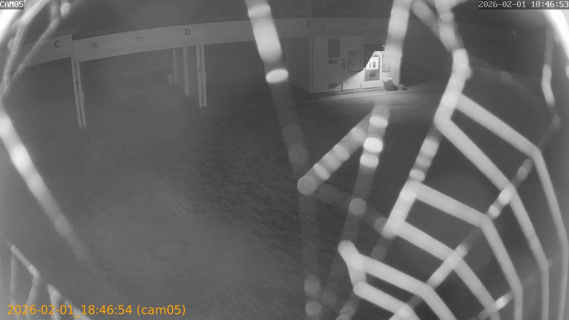 thumbnail_20260201184654