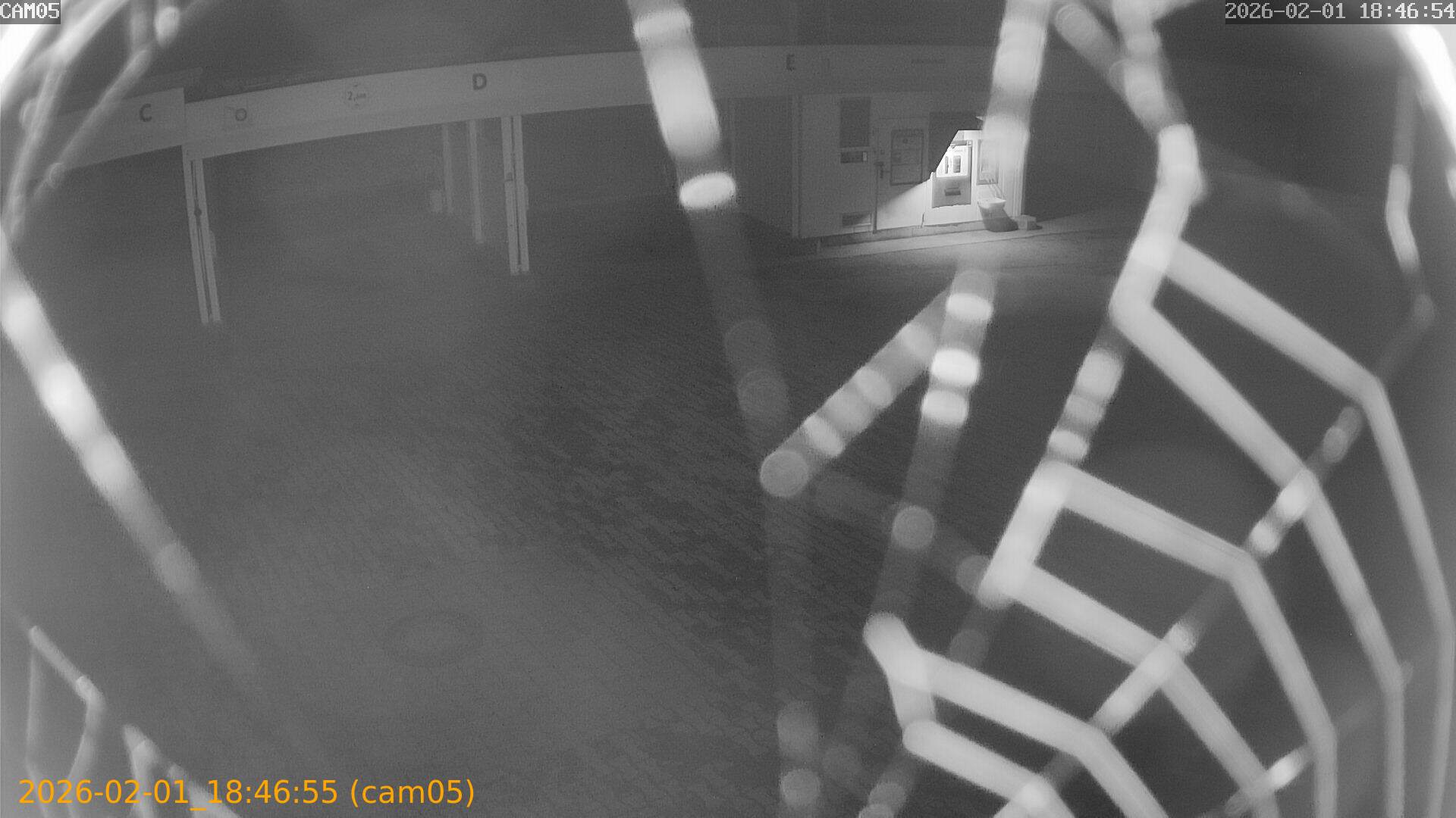 thumbnail_20260201184655