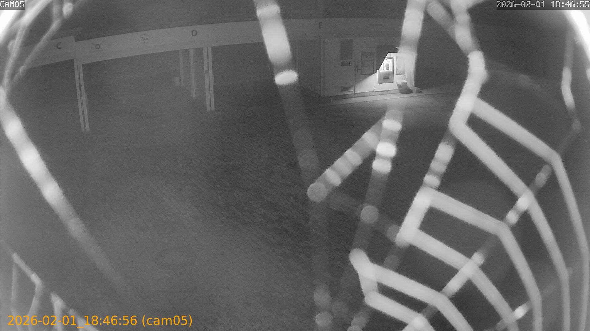 thumbnail_20260201184656