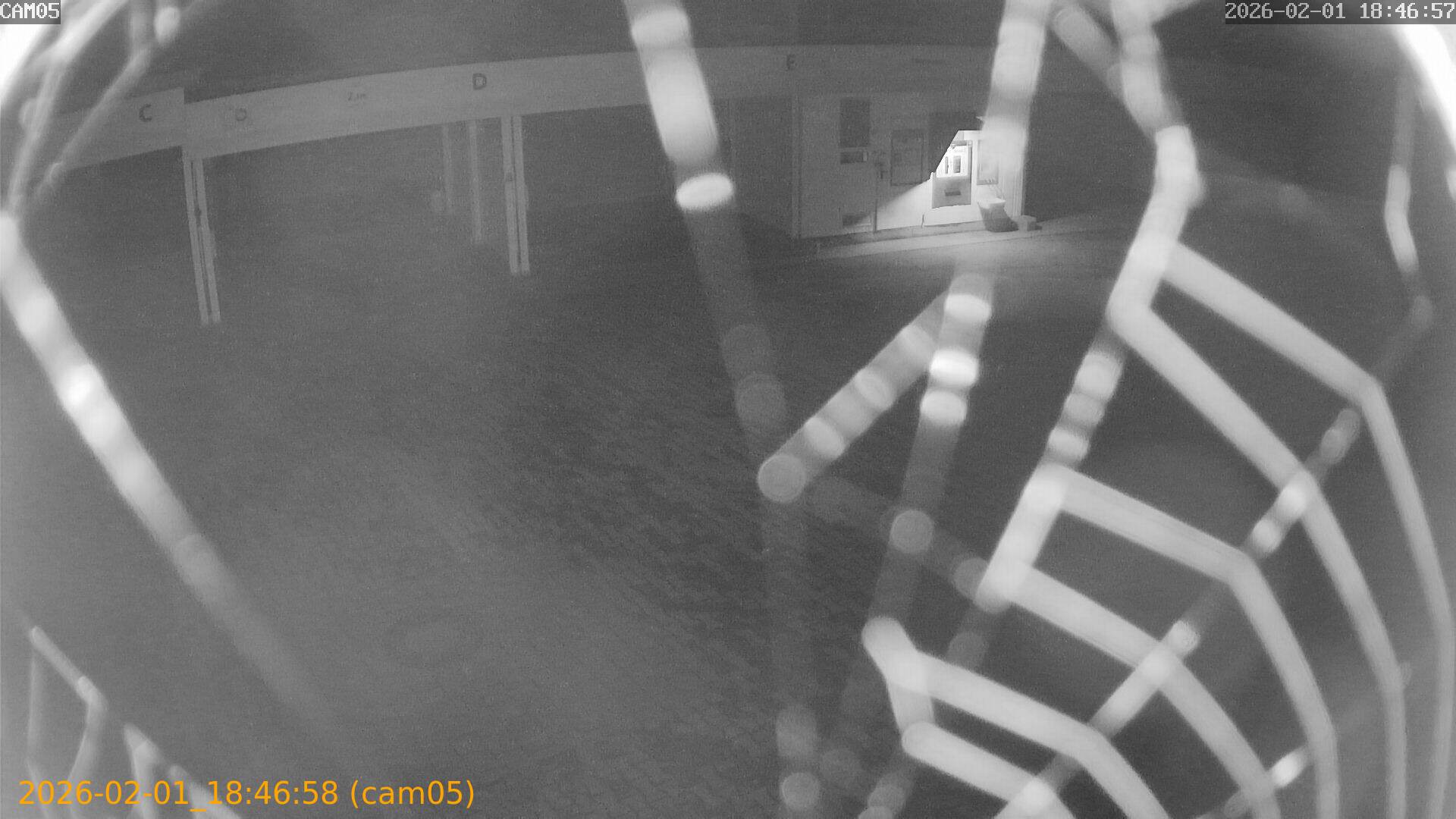 thumbnail_20260201184658