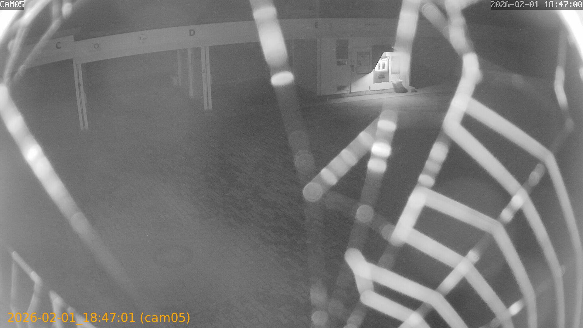 thumbnail_20260201184701