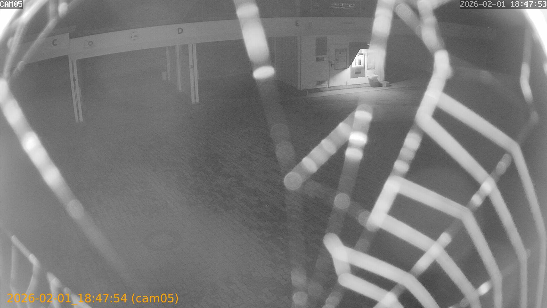 thumbnail_20260201184754