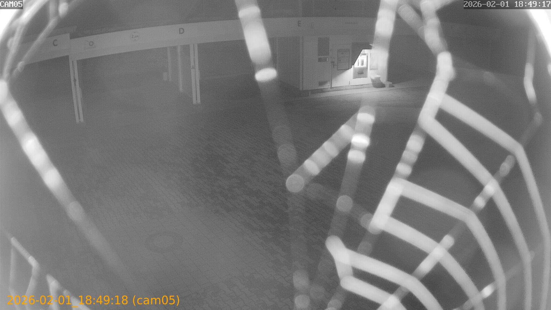 thumbnail_20260201184918