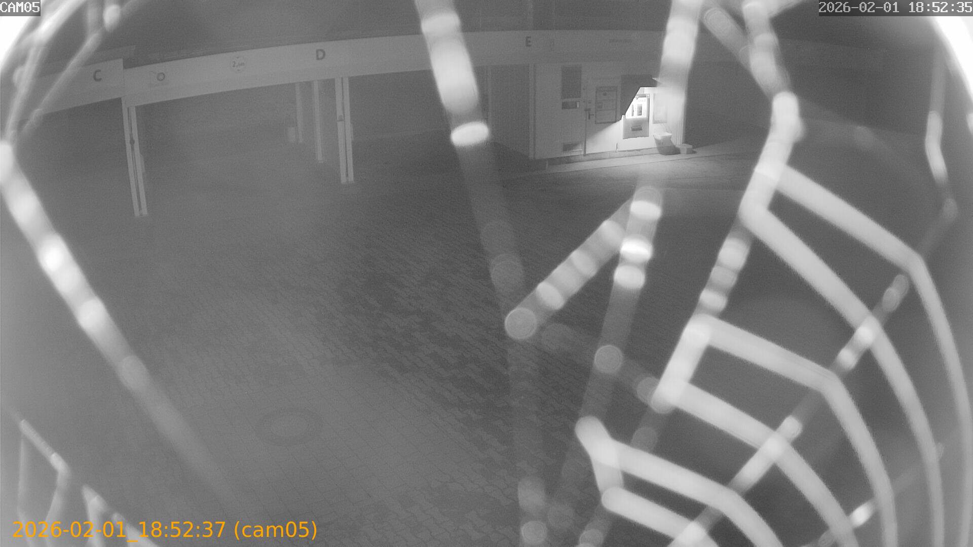 thumbnail_20260201185237