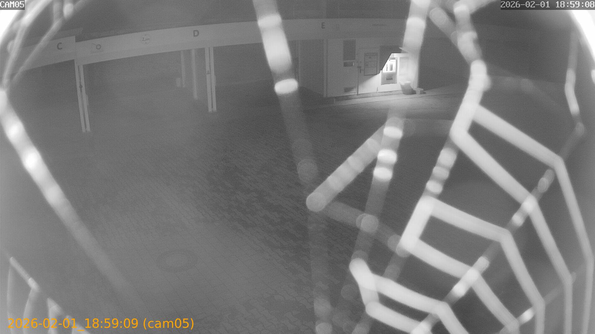 thumbnail_20260201185909