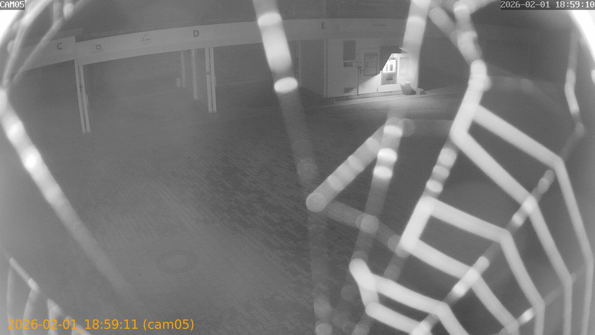 thumbnail_20260201185911