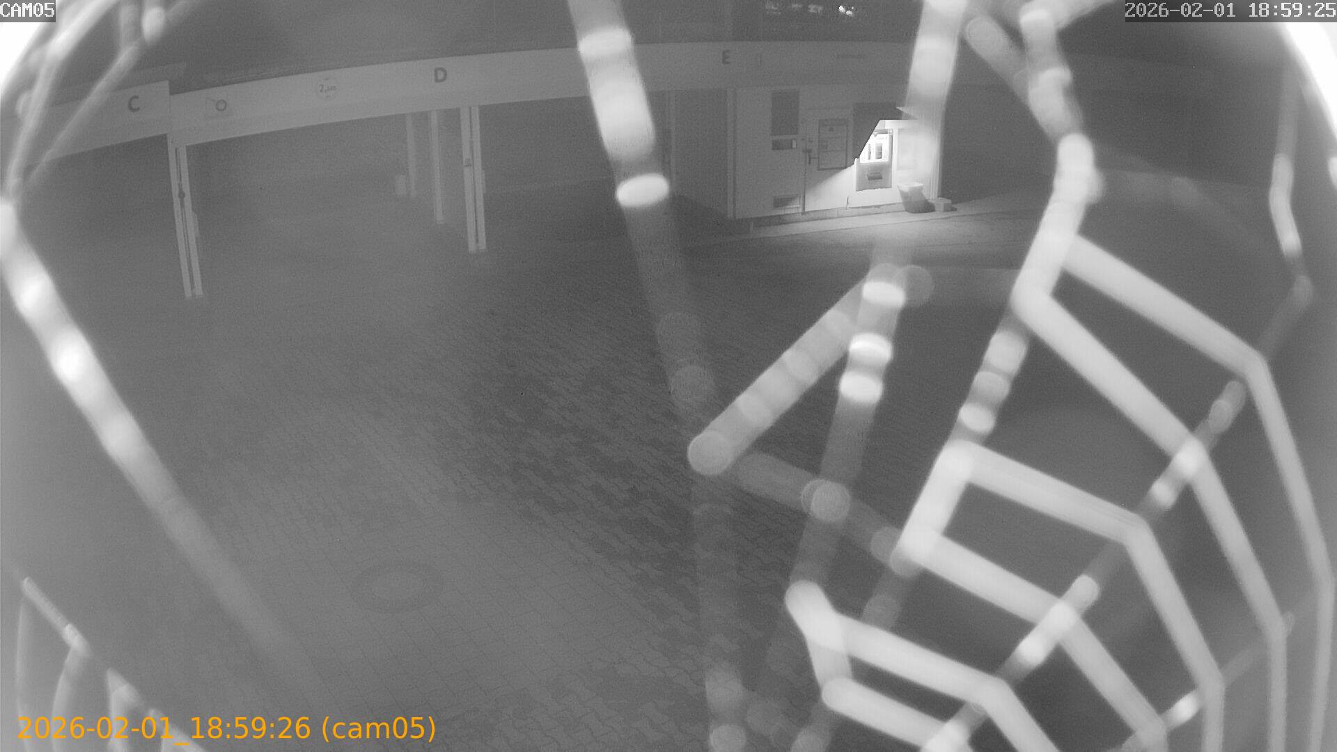 thumbnail_20260201185926