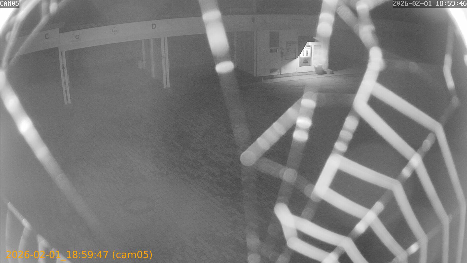 thumbnail_20260201185947