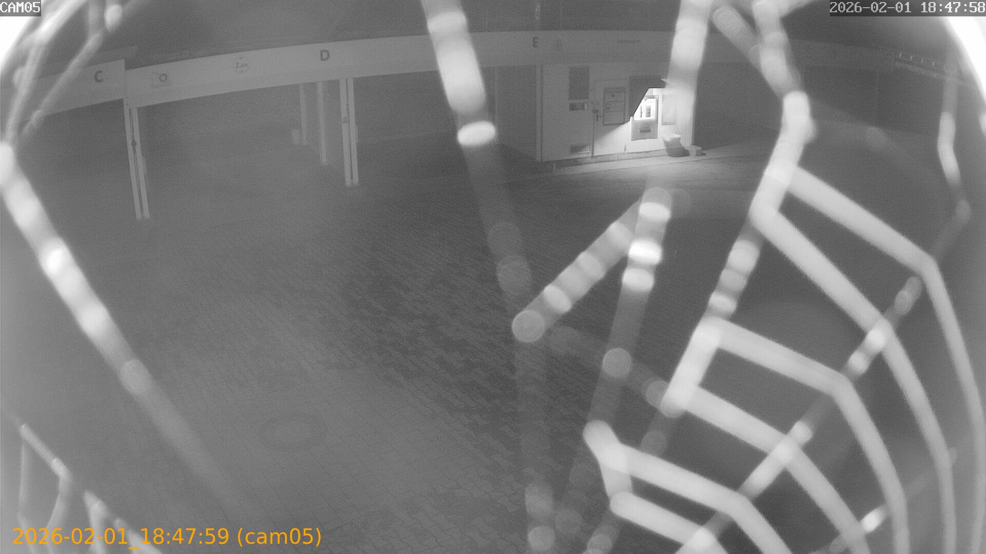 thumbnail_202602011847