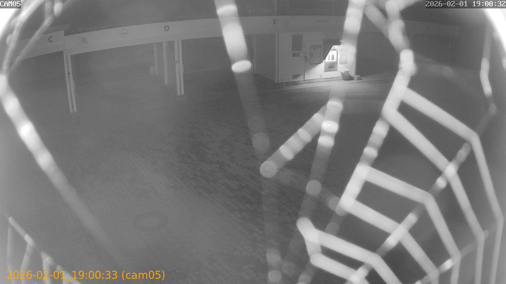 thumbnail_20260201190033