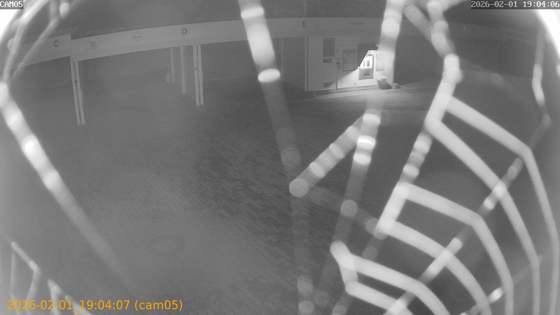 thumbnail_20260201190407