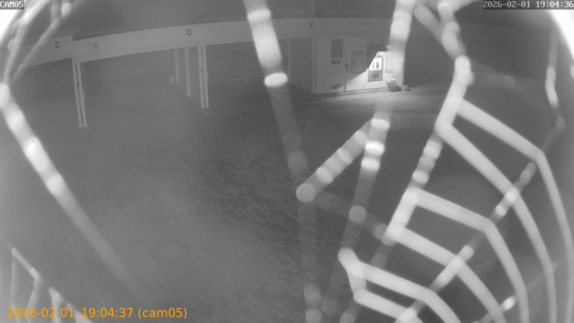 thumbnail_20260201190437