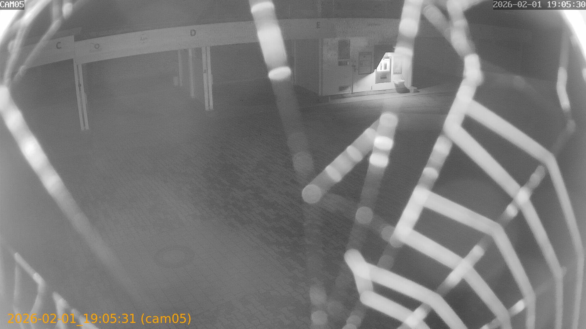 thumbnail_20260201190531