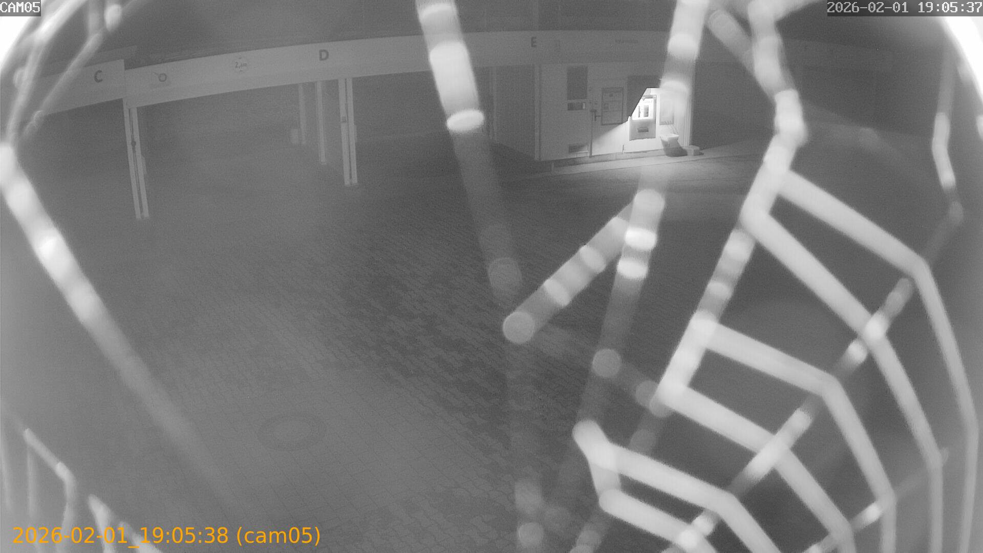 thumbnail_20260201190538