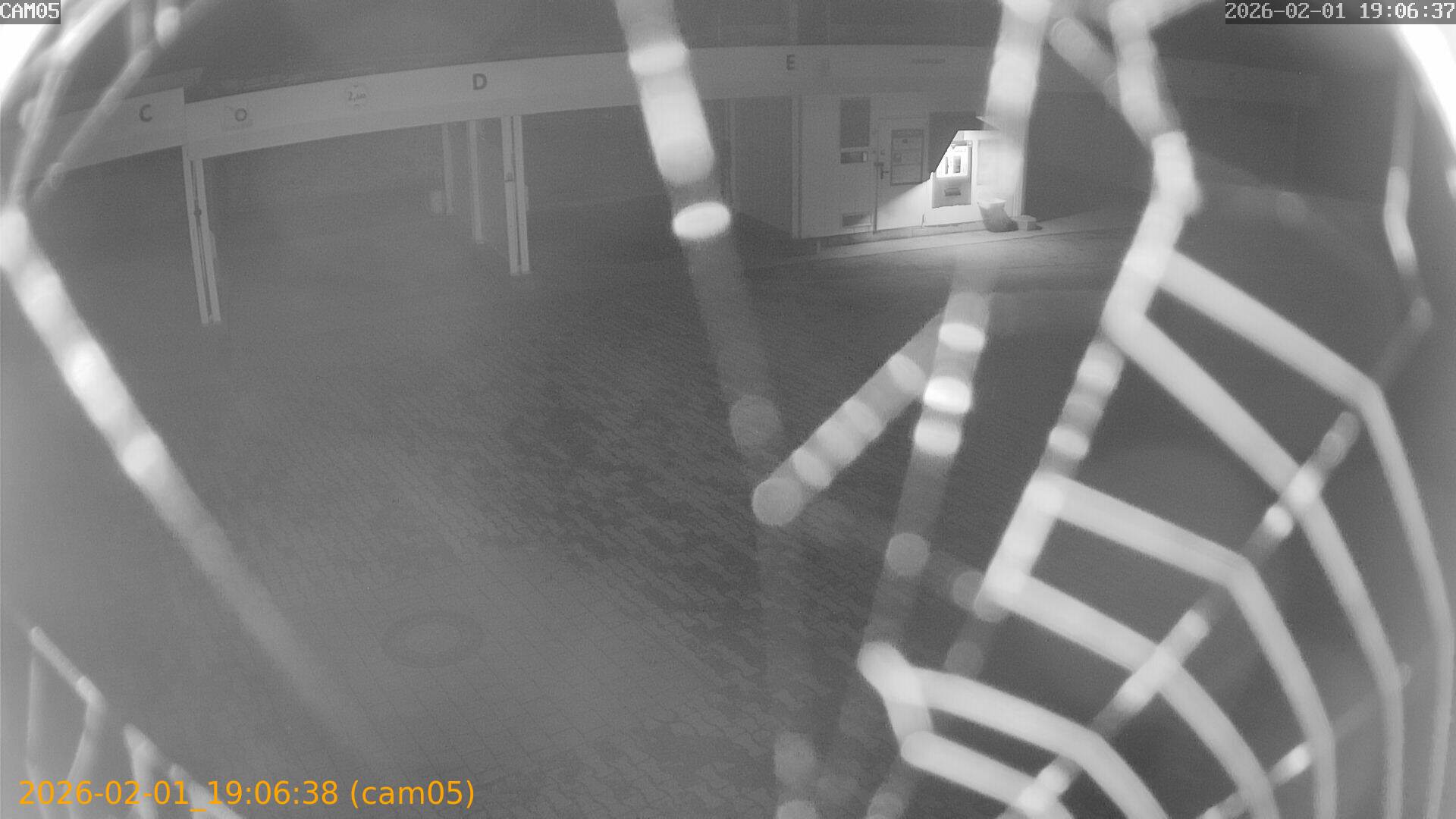 thumbnail_20260201190638