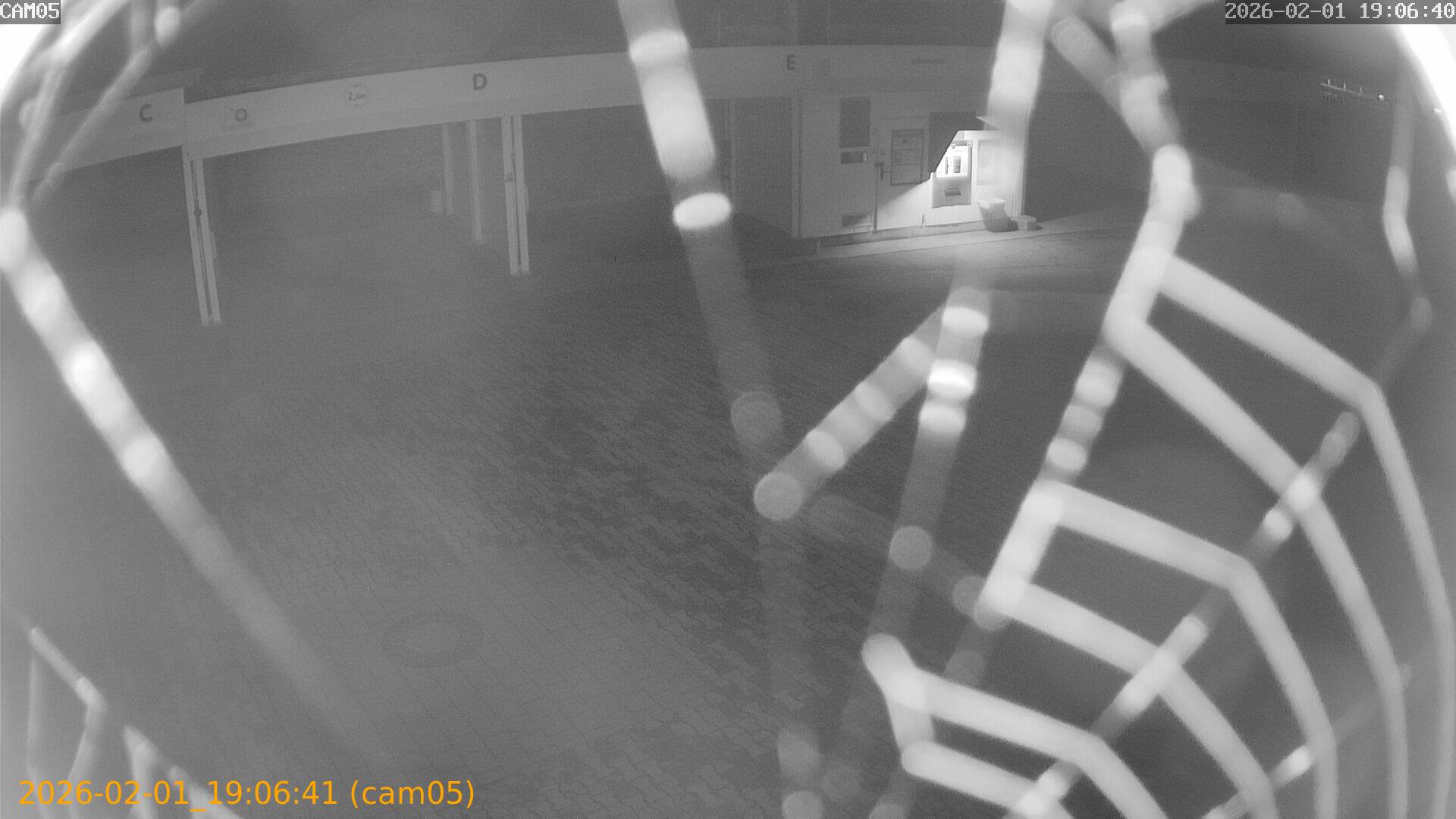 thumbnail_20260201190641