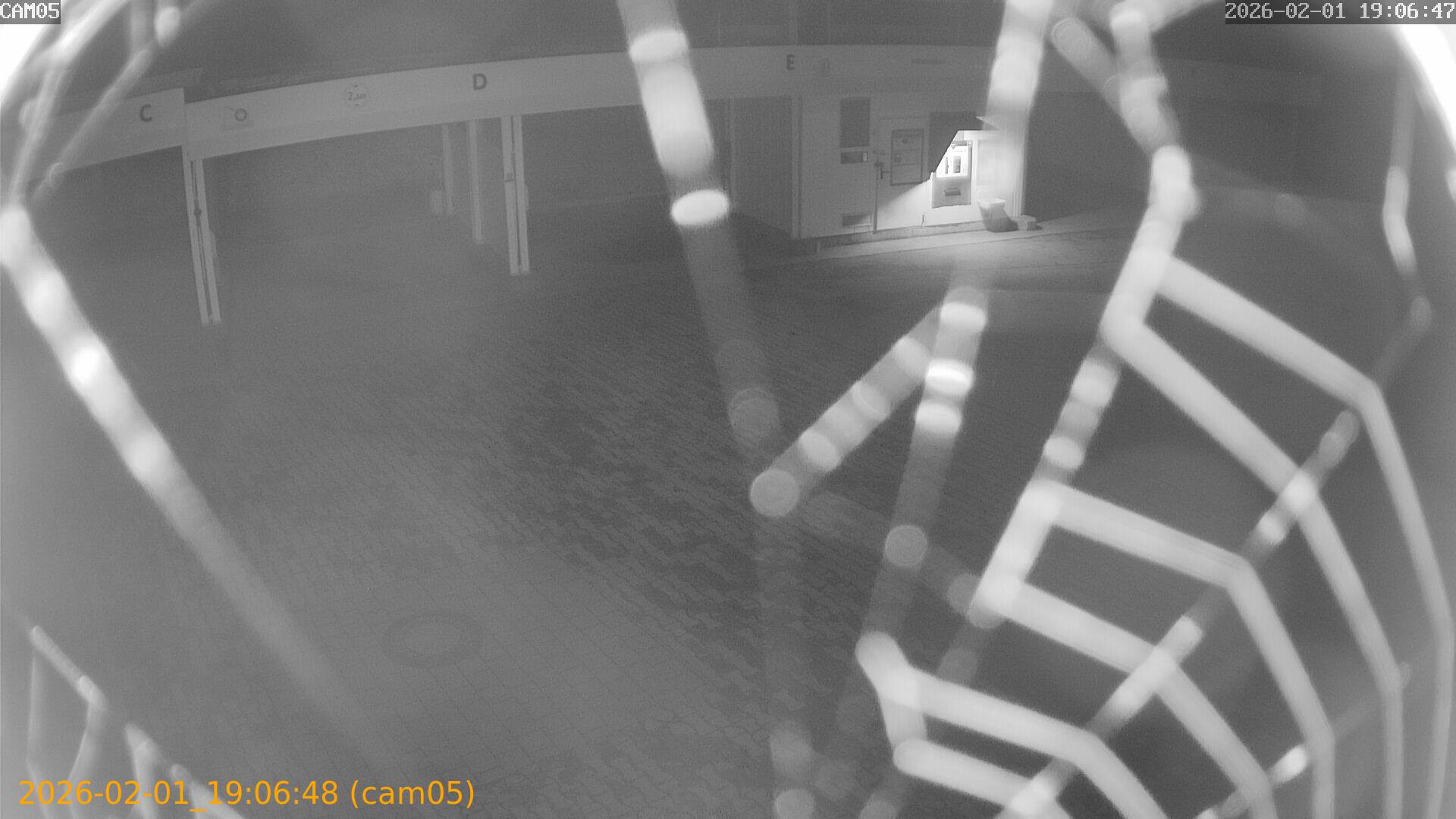 thumbnail_20260201190648