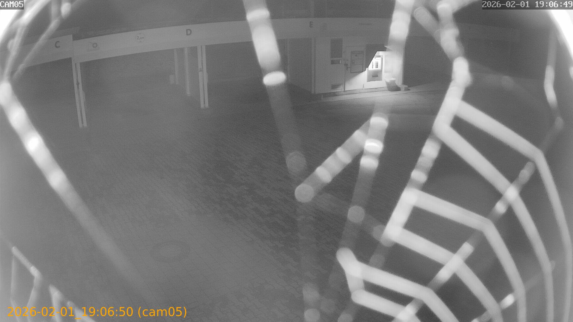 thumbnail_20260201190650