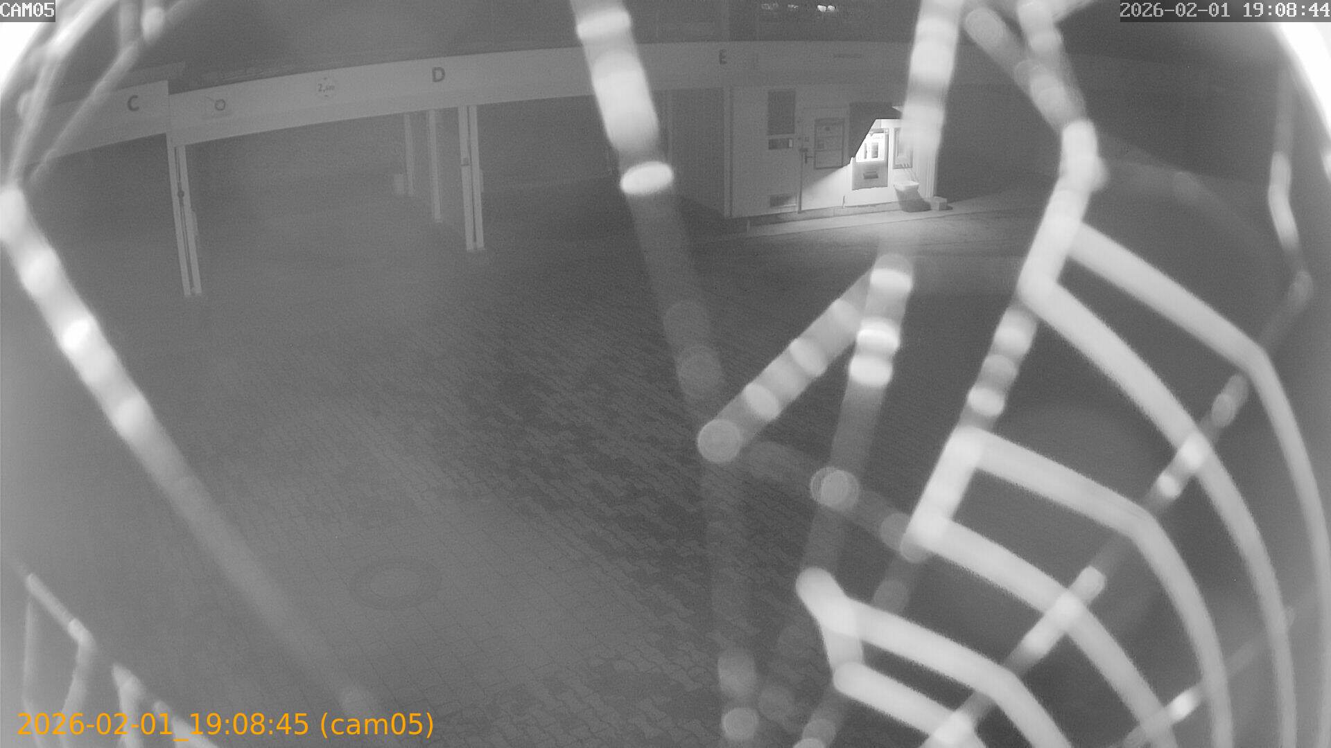 thumbnail_20260201190845