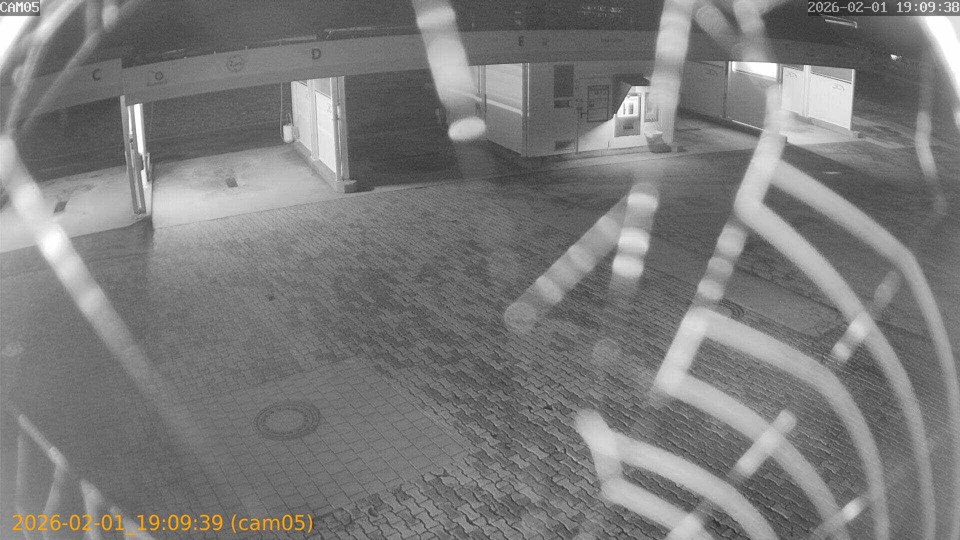 thumbnail_20260201190939