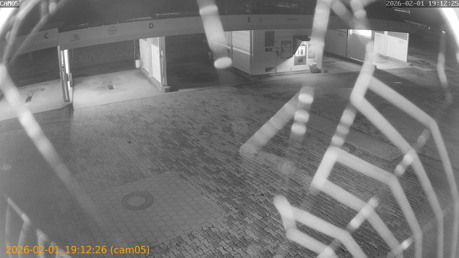 thumbnail_20260201191226