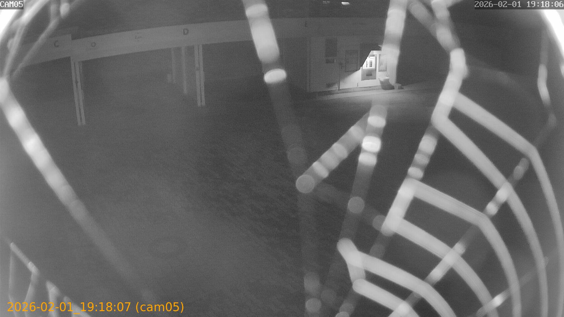 thumbnail_20260201191807