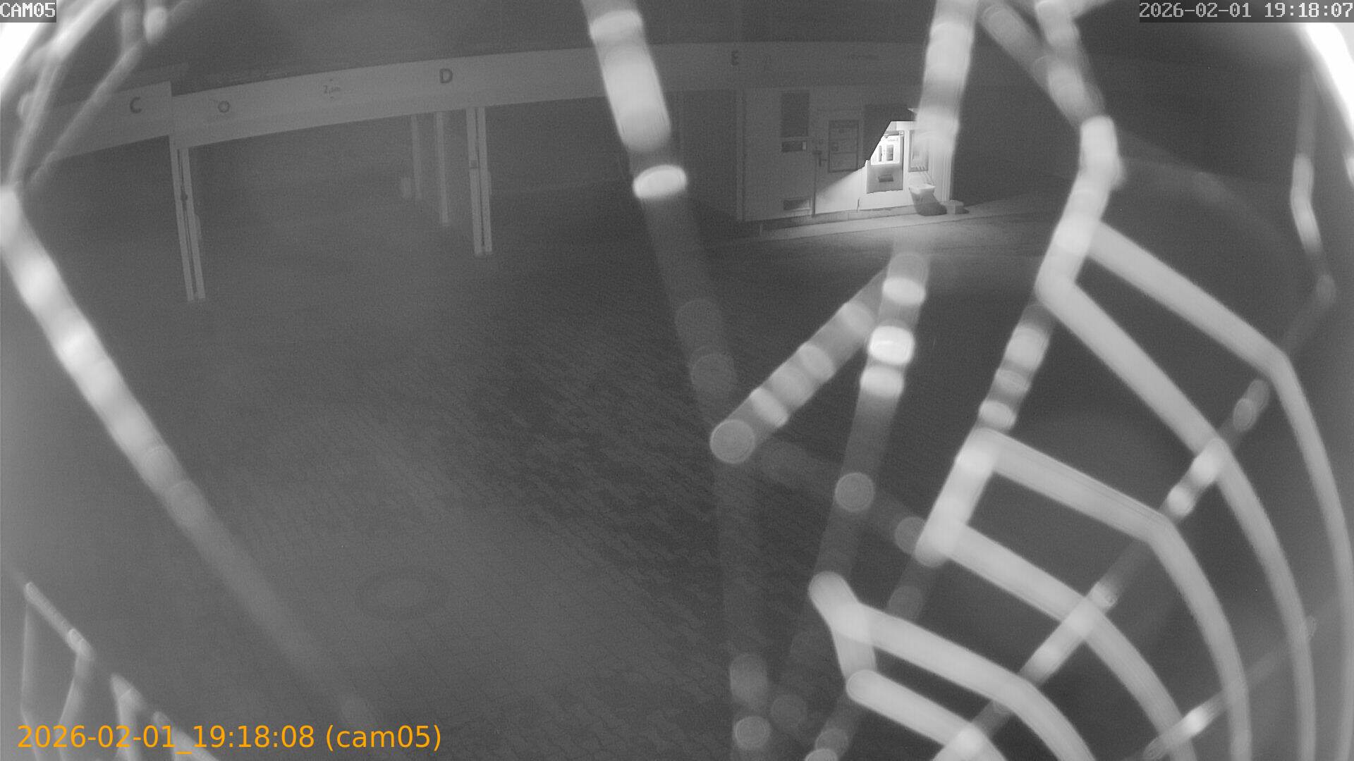 thumbnail_20260201191808