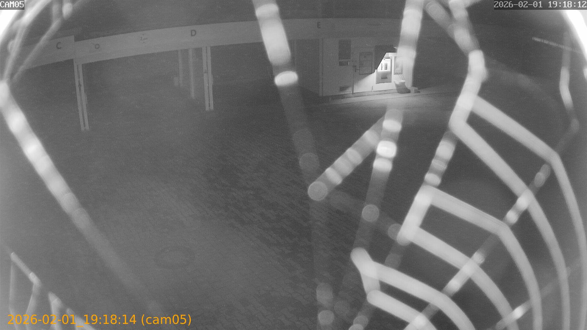 thumbnail_20260201191814