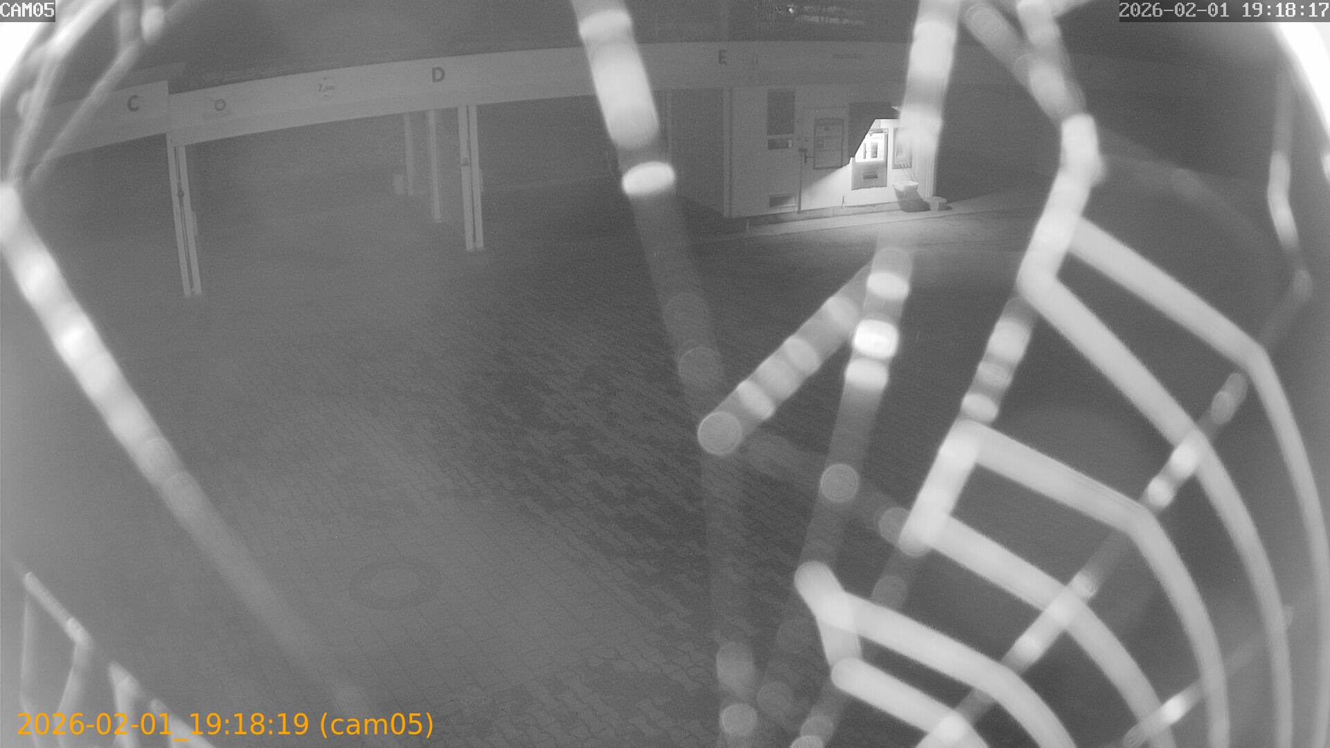 thumbnail_20260201191819