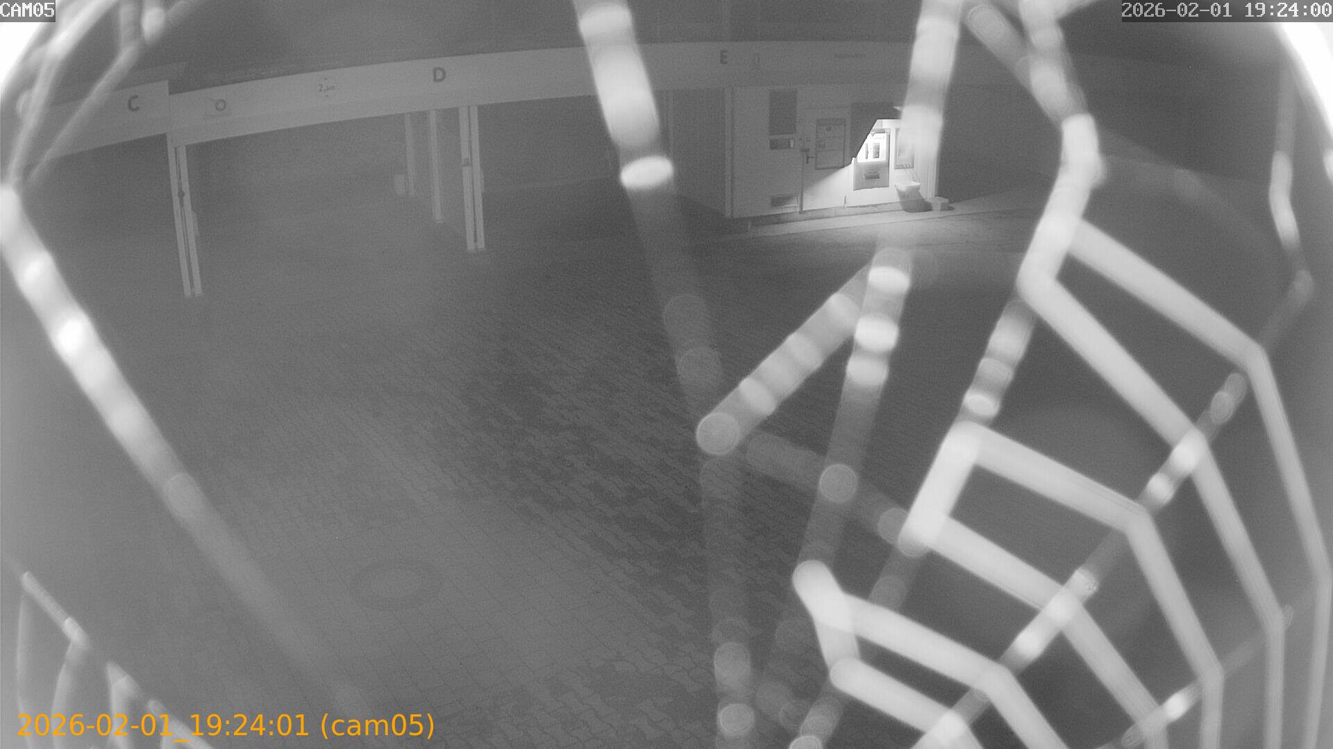 thumbnail_20260201192401