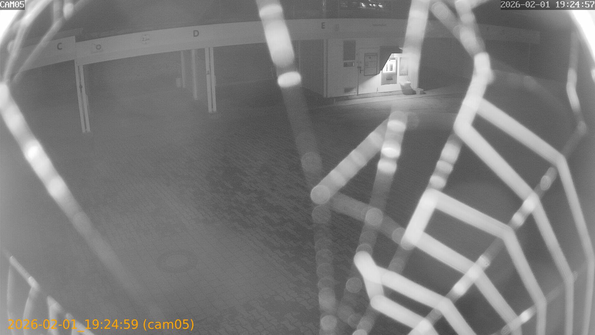 thumbnail_20260201192459