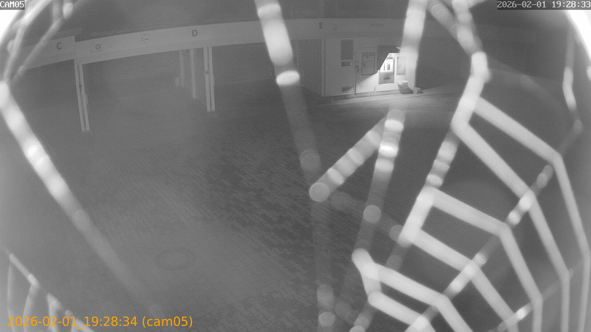 thumbnail_20260201192834