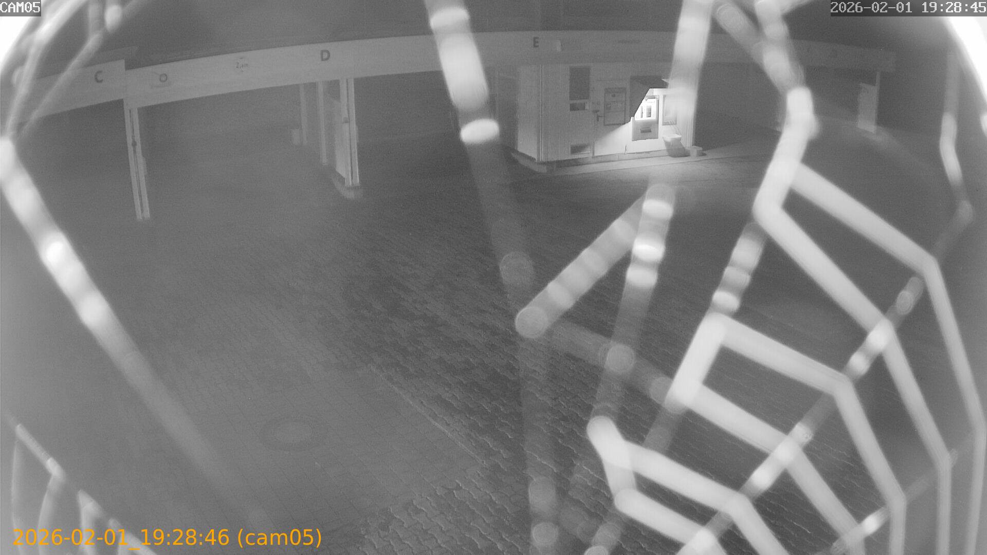 thumbnail_20260201192846