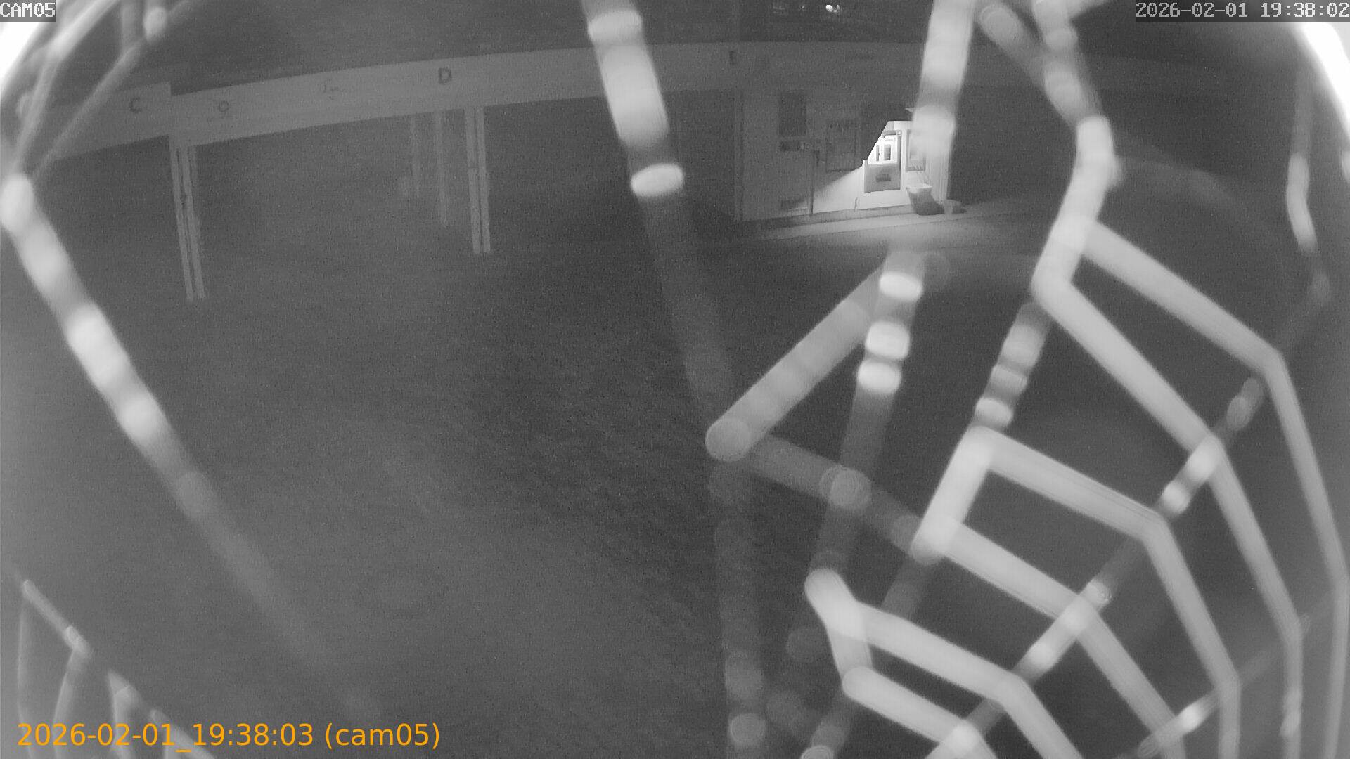 thumbnail_20260201193803