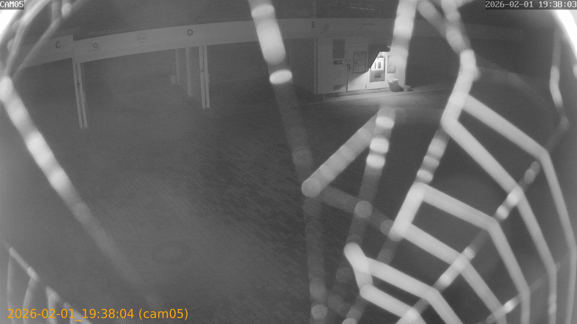 thumbnail_20260201193804