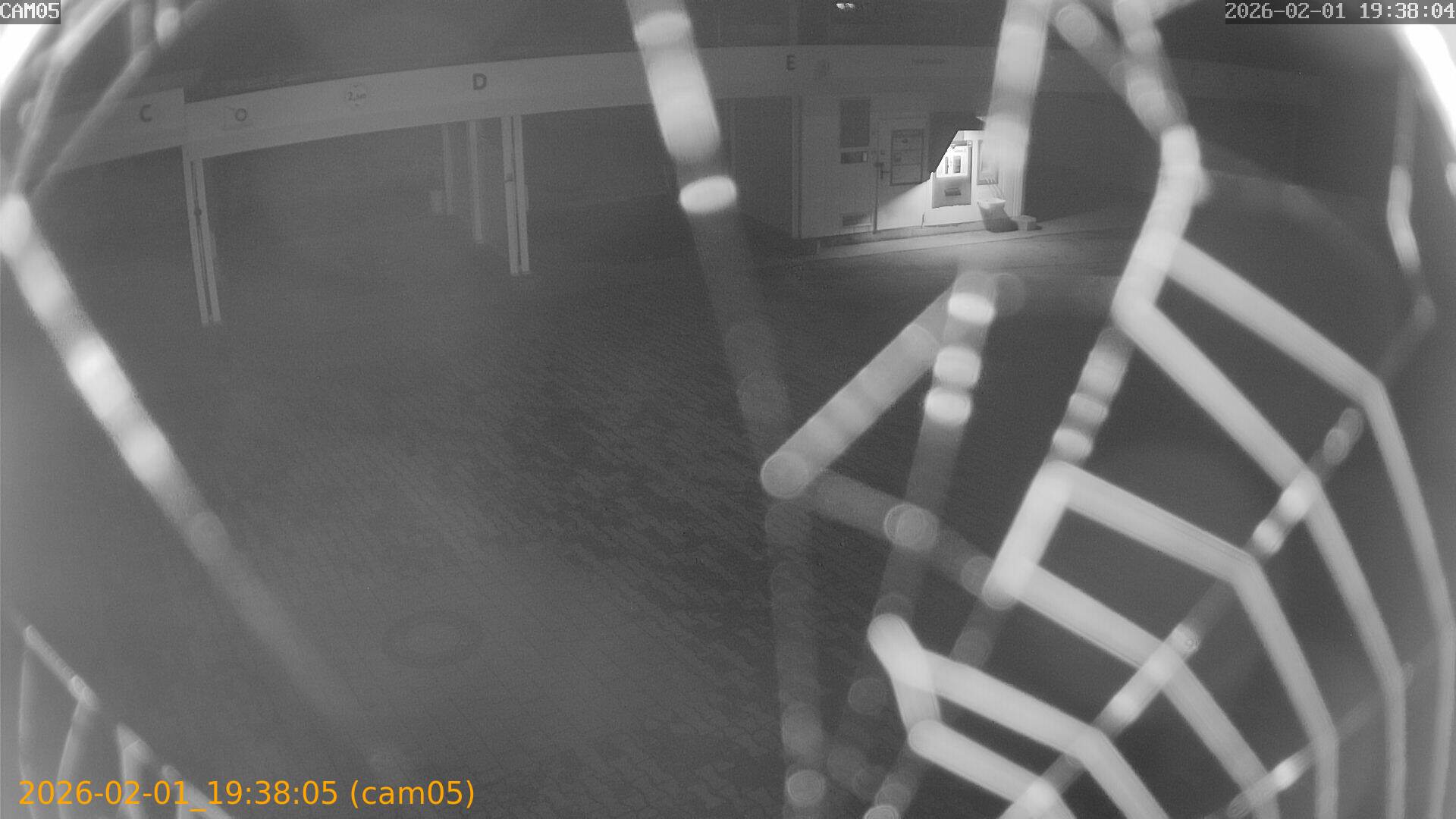 thumbnail_20260201193805