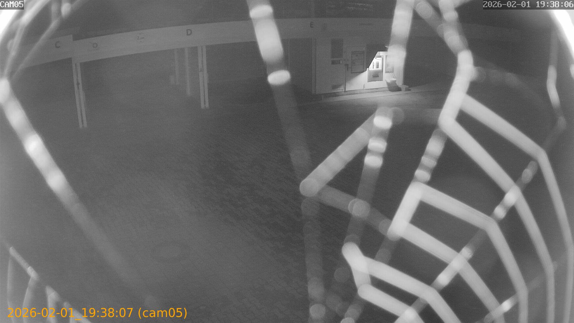 thumbnail_20260201193807