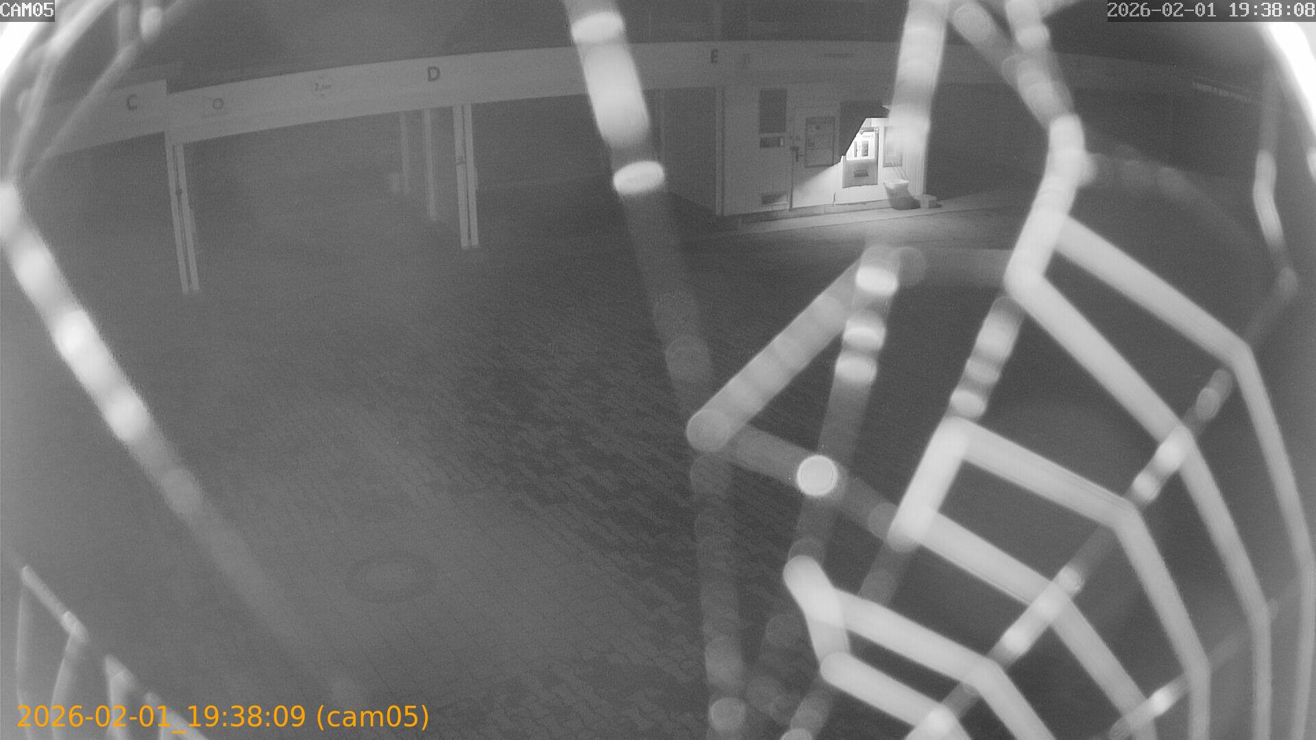 thumbnail_20260201193809