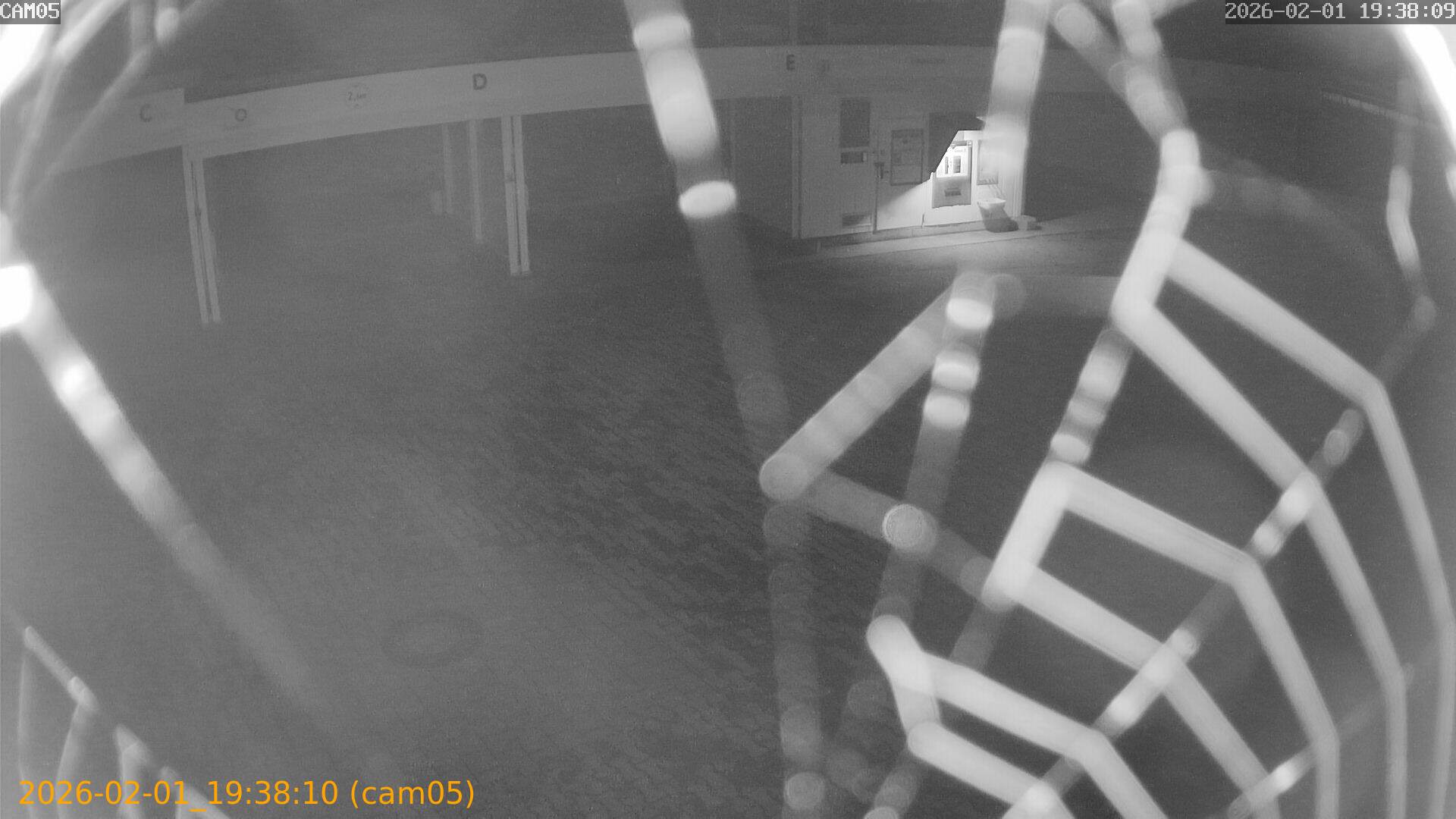 thumbnail_20260201193810