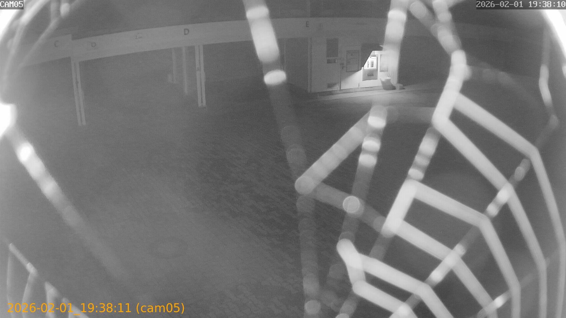 thumbnail_20260201193811