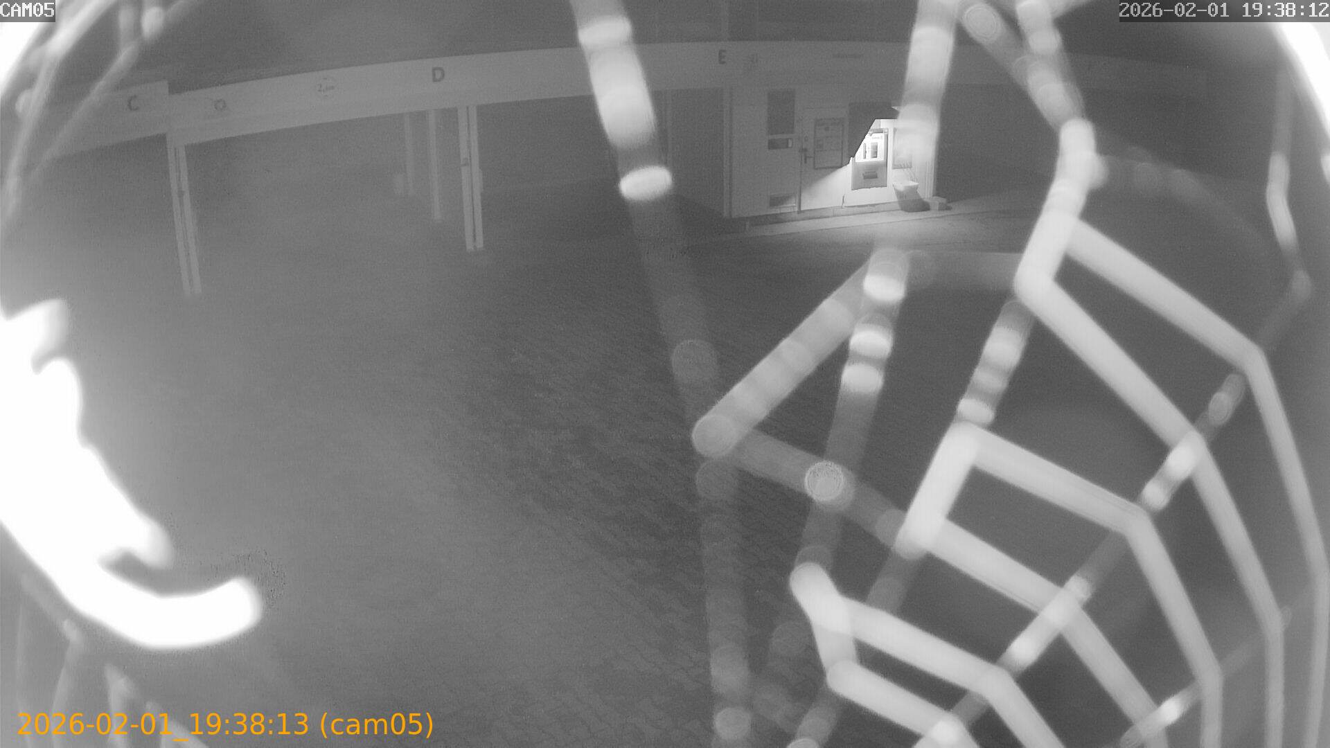 thumbnail_20260201193813