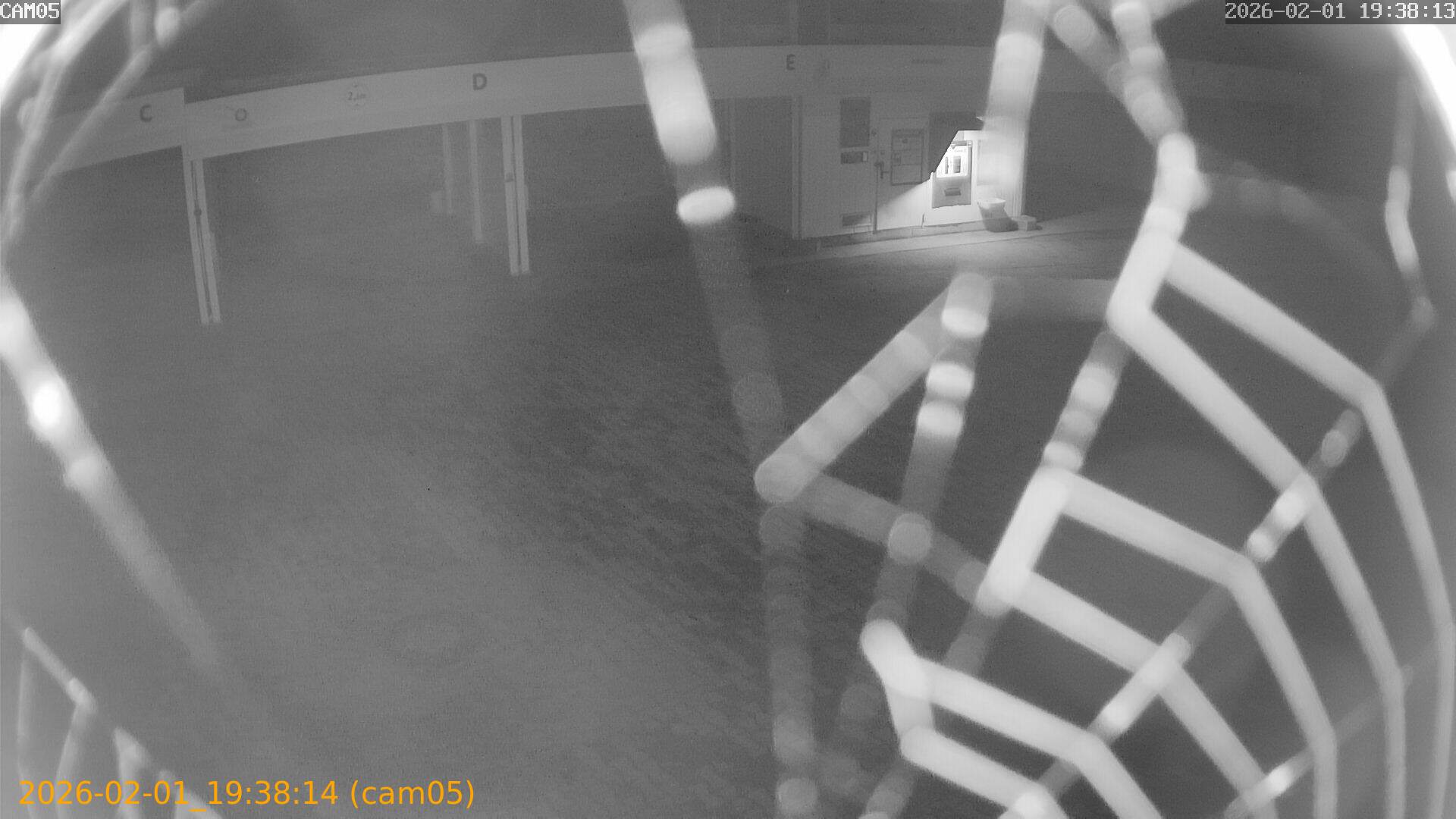 thumbnail_20260201193814