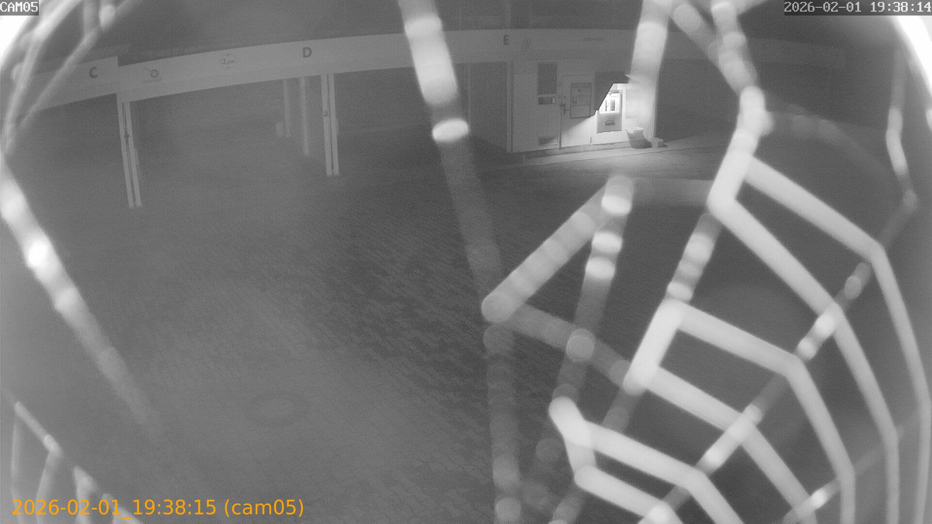 thumbnail_20260201193815