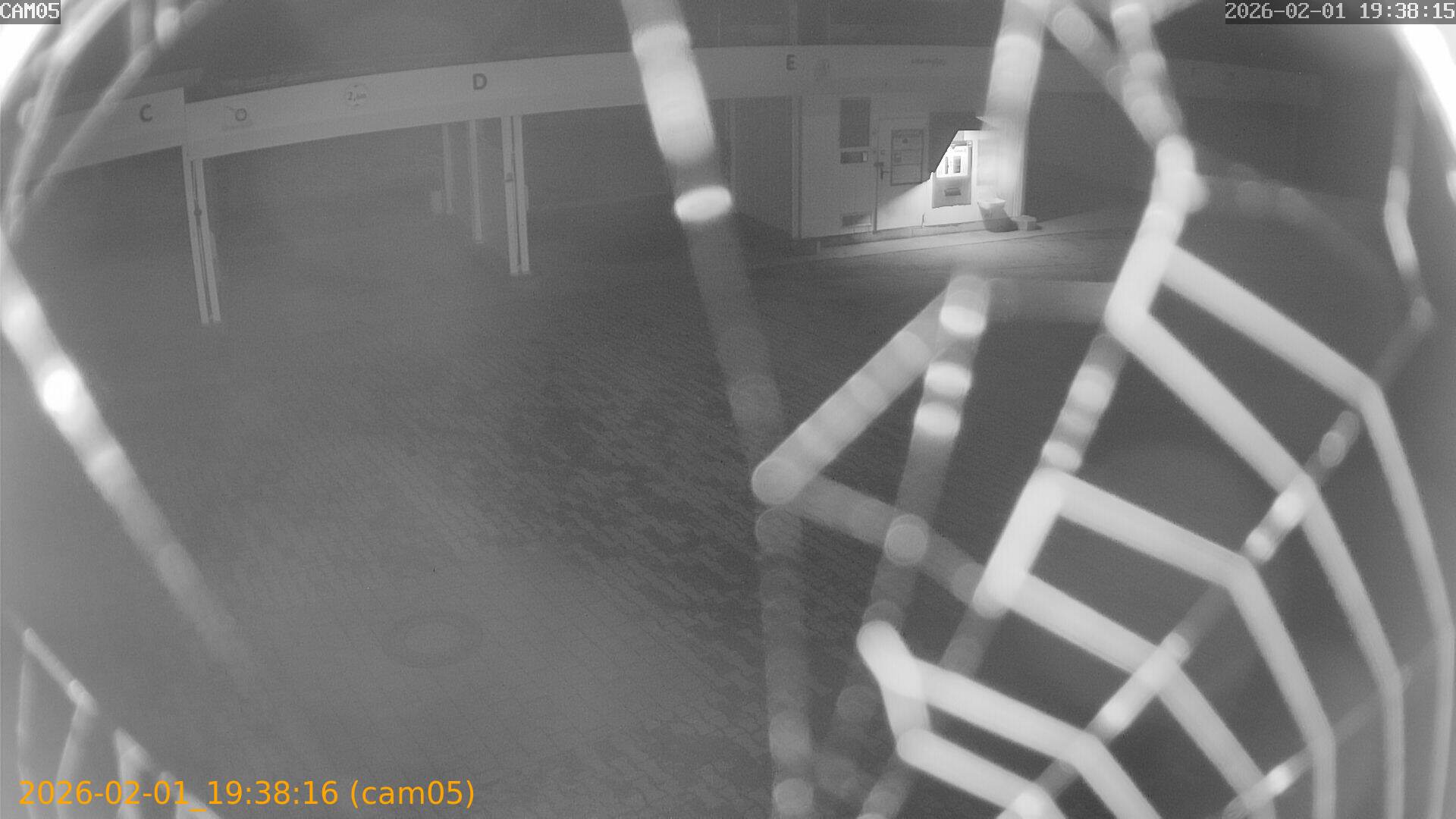 thumbnail_20260201193816